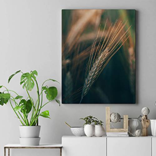 Tablouri CANVAS